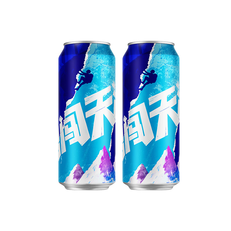 雪花啤酒（Snowbeer） 勇闯天涯经典大规格黄啤自饮送人实惠装 500mL 2罐 双瓶装 【破损包赔】