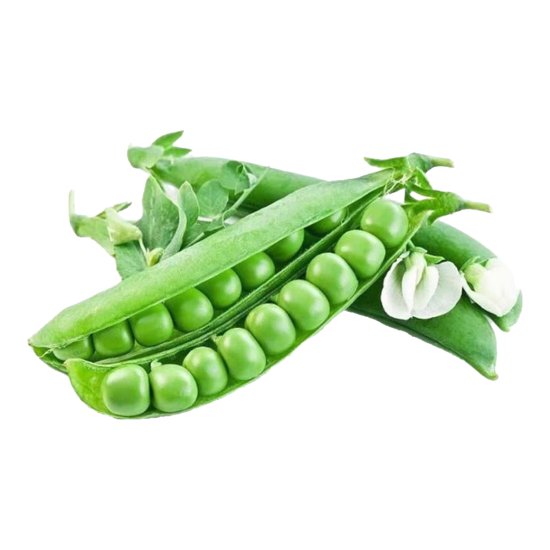 ���ڲ�����¤��ζ�����㶹����������ժ����ˮ���ඹ�㶹��Ӧ���߲˲���ֱ�� ����5�������㶹�� ����4.5�� 13.9Ԫ