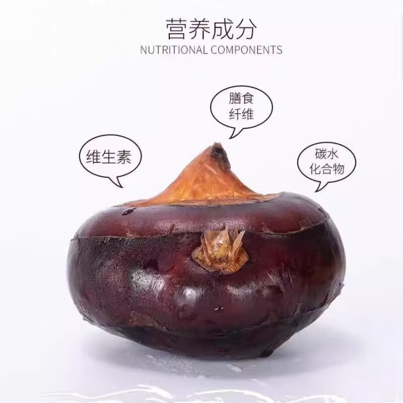 荔浦马蹄广西荸荠地梨脆甜多汁现挖带泥保鲜当季水果蔬菜 优质大果 净重5斤(100-115）