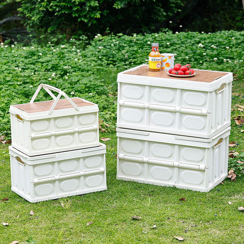 ����¶Ӫ�۵������䳵�ش��������ľ��������ҰӪ��Яװ�� ������ 44.5*31*6.5cm 30L ��ɫ 1��