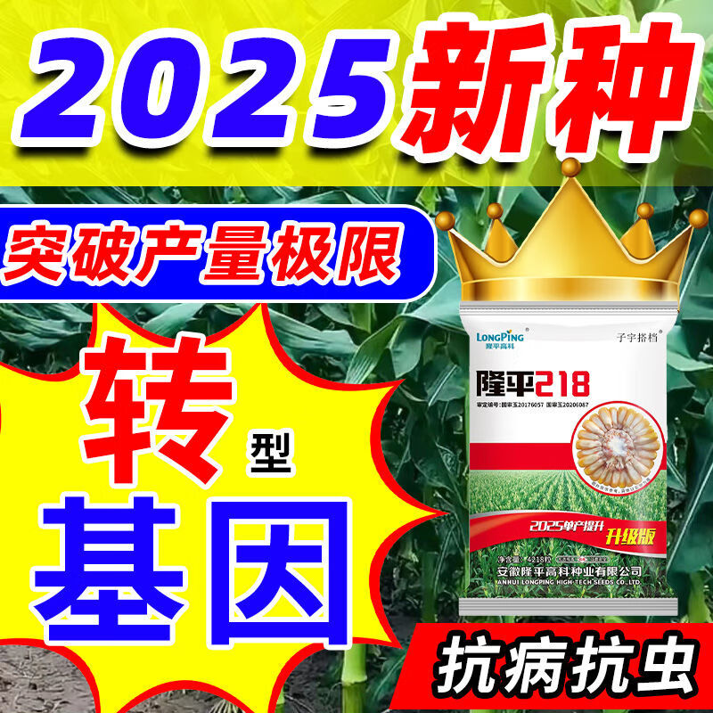 隆平207玉米种子简介图片