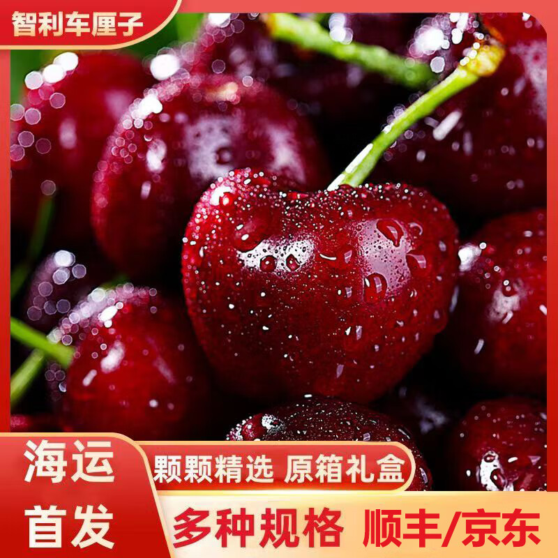 集南鲜 智利车厘子进口大樱桃【顺丰/JD速运-多地次日达】水果年货礼盒 5斤(净重) 甄选原箱礼盒 JJ级 