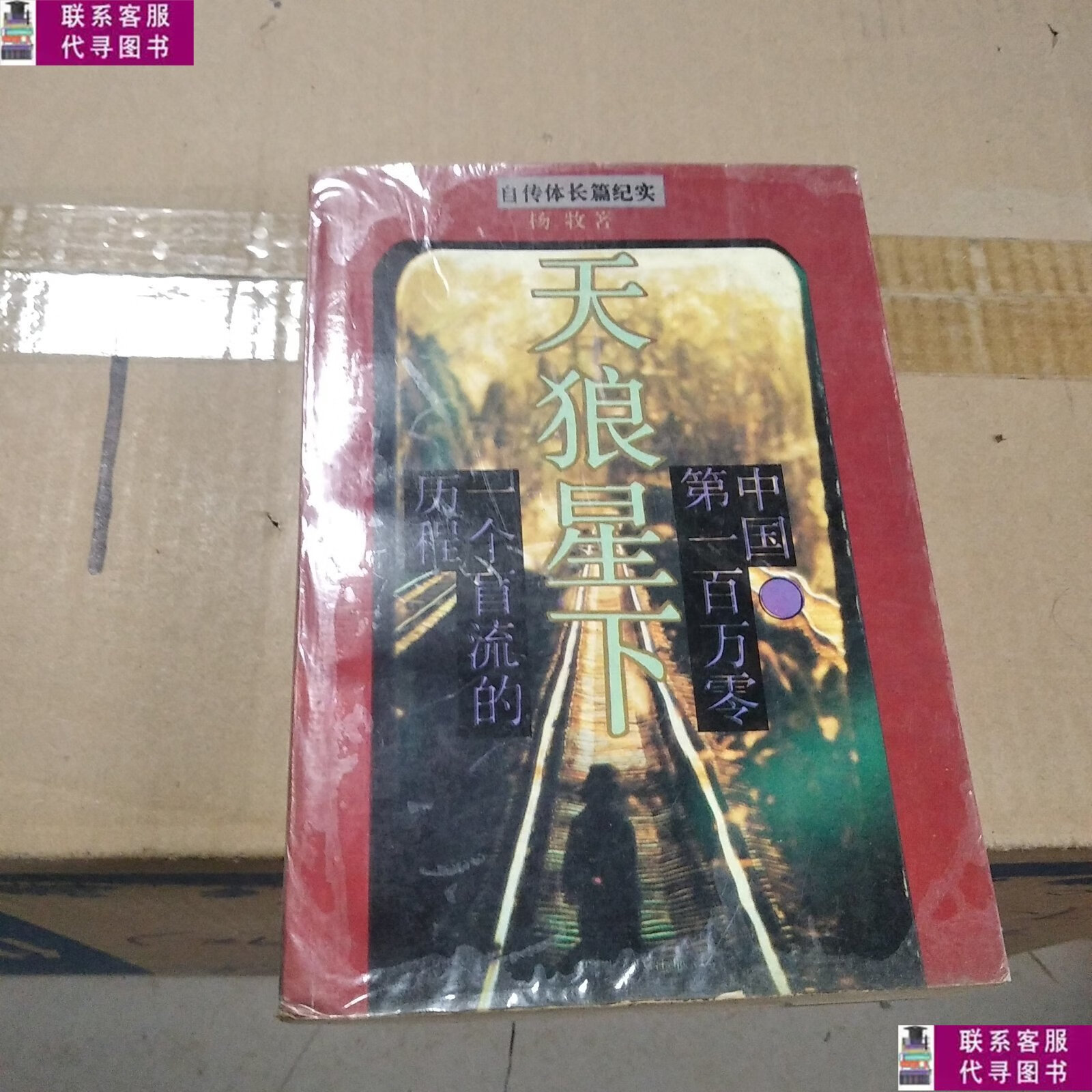 天狼星下:中国百万零一个盲流的历程 /杨牧 四