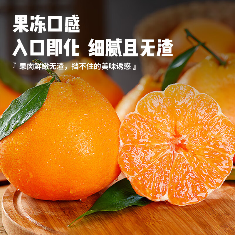 菲农正宗四川春见耙耙柑10斤新鲜水果当季整箱丑粑粑橘子源头直发  5斤【80%选择-划算】净4.8斤 春见耙耙柑中果
