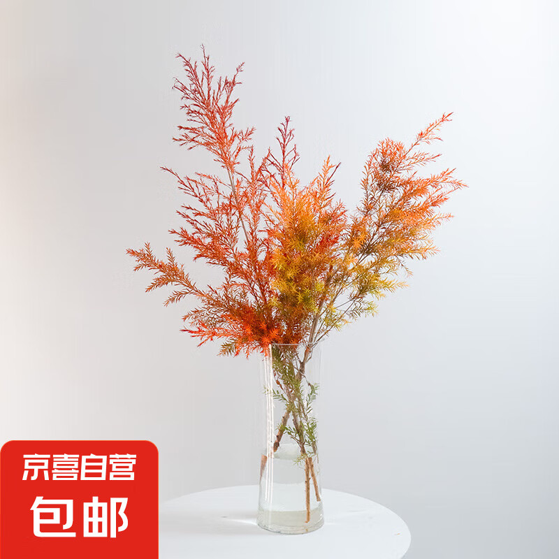 ��ǧ���������?��ɫСɭ�ֻ��ڳ�������ֲ�ʻ�ˮ������ɻ� ǧ���5֦