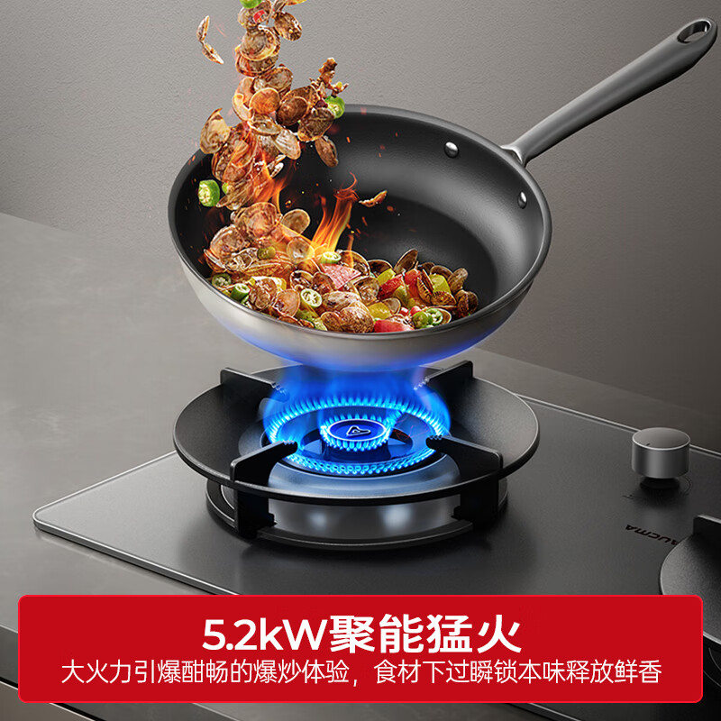澳柯玛(AUCMA) 燃气灶双灶家用煤气灶天然气液化气5.2kW猛火灶具 台式嵌入式两用 一级能效 灶具 天/铜火盖5.2磨砂猛火26BD