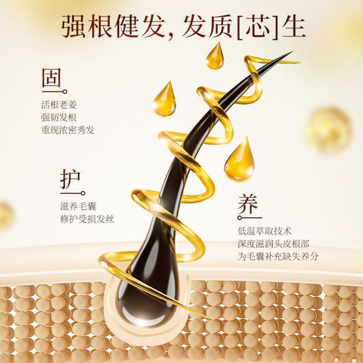 索芙特生姜洗发水老姜汁控油净屑清爽发丝强韧发根柔顺秀发 生姜洗发水 500g*2瓶