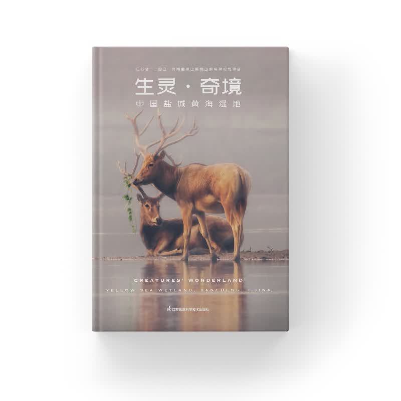 生灵.奇境-----中国盐城黄海湿地