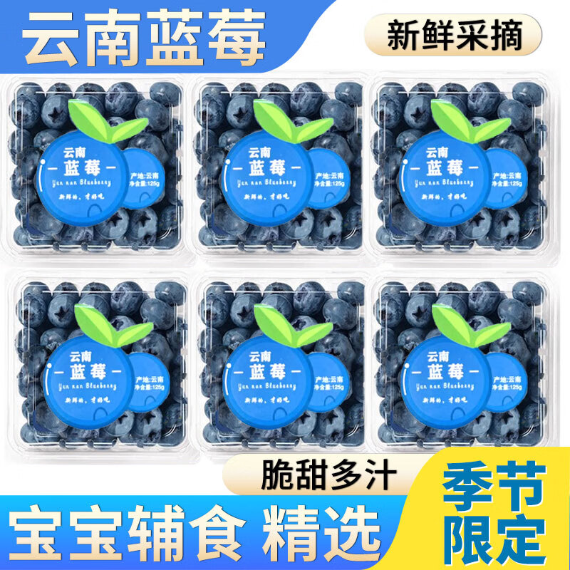 智宙云南花香蓝莓【多地次日达】国产水果新中梅生鲜果送礼品物盒 尝鲜中小果 4盒（100-125g/盒）丨单果12-15mm+ 京东折扣/优惠券