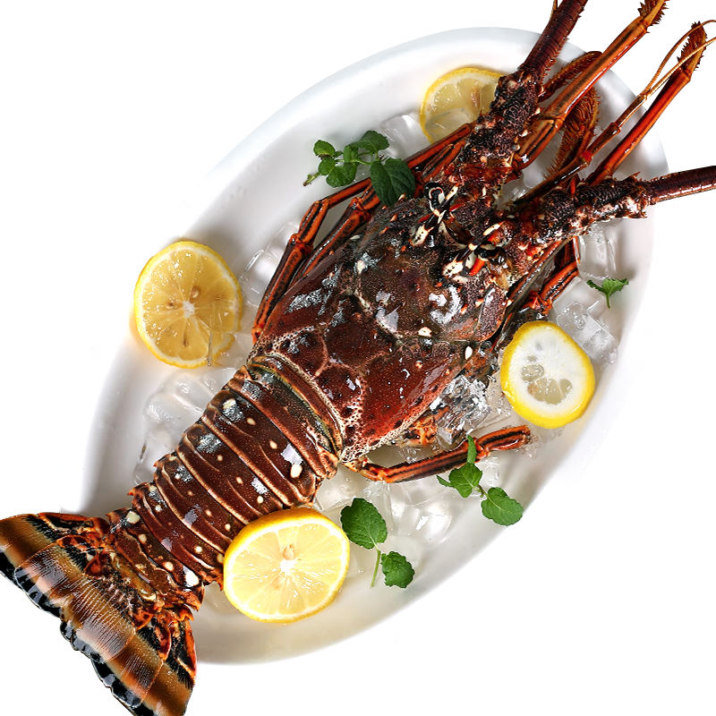 ���ڲ����������׶� �Ű���Ϻ�����Ϻ�ຣ���ش�����ʺ�Ϻ�������������Ϻ �Ű���Ϻ2.5��/ֻ(���װ)