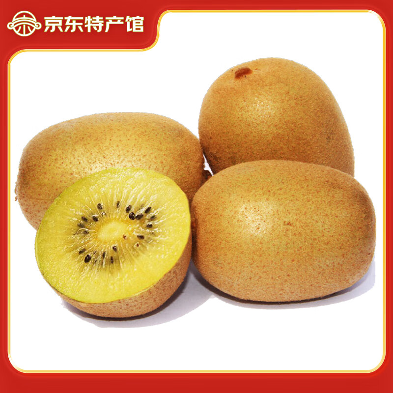 静益乐源黄心猕猴桃 金果奇异果 新鲜水果四川 15粒单果50-70g