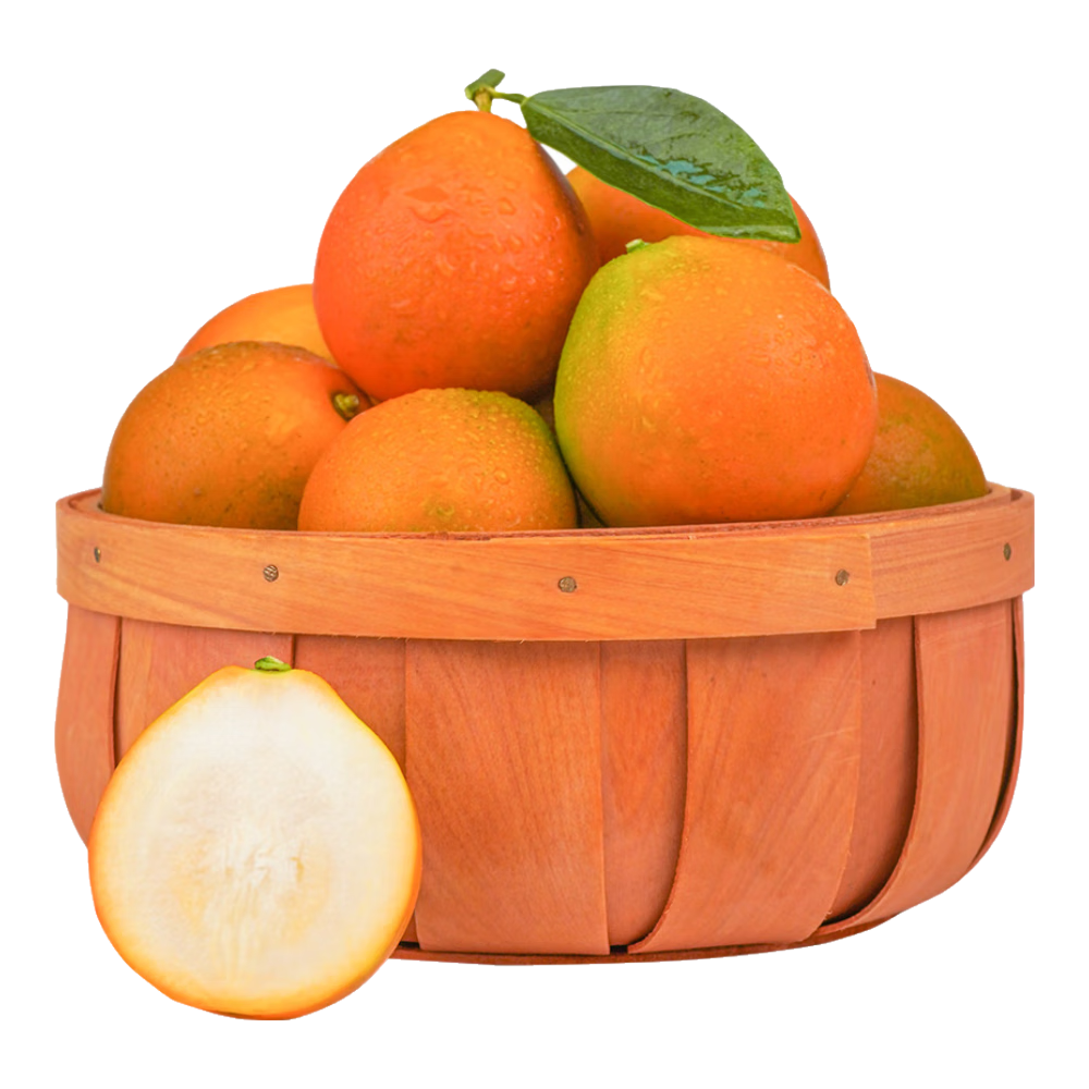 京鲜生 广西脆蜜金桔1.5斤装 单果13g起 生鲜水果 源头直发包邮