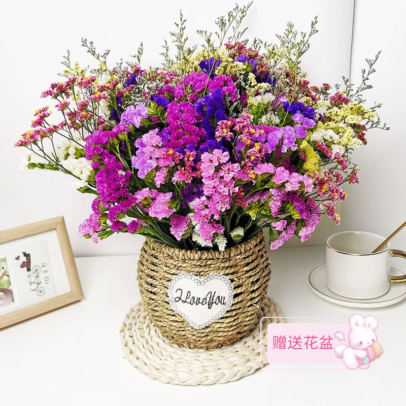 云南鲜花 鲜花家庭生活插花鲜花云南昆明基地鲜花批发云南鲜花 混色勿忘我300-400g（送随机花篮）