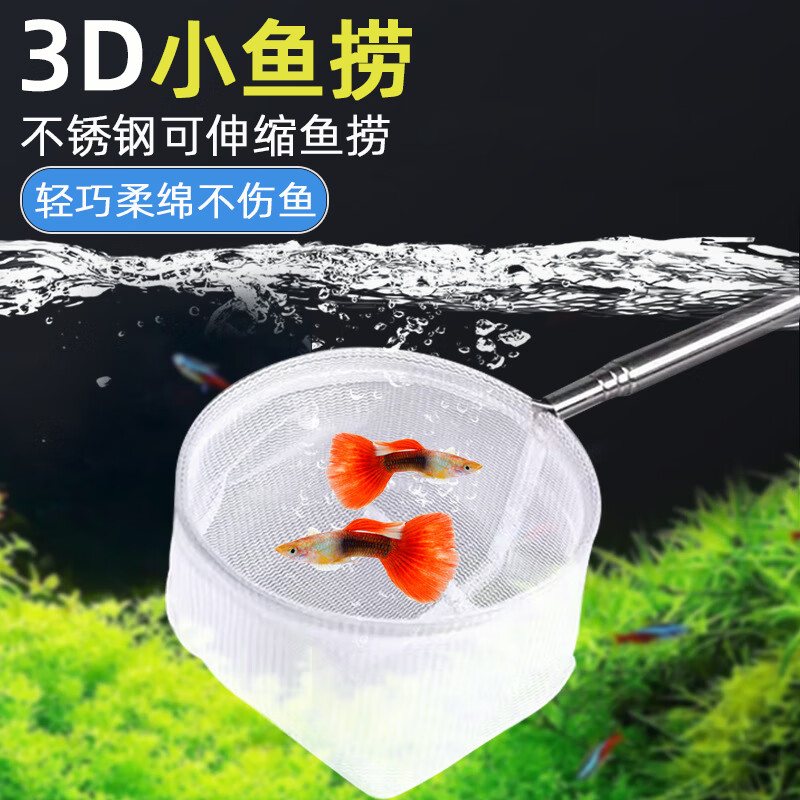 �Ͷ������С����������������3D��������Ϻ������㲻��ֿ������ֳ��� 3D���̡�С��Բ�Ͱ�ɫ��