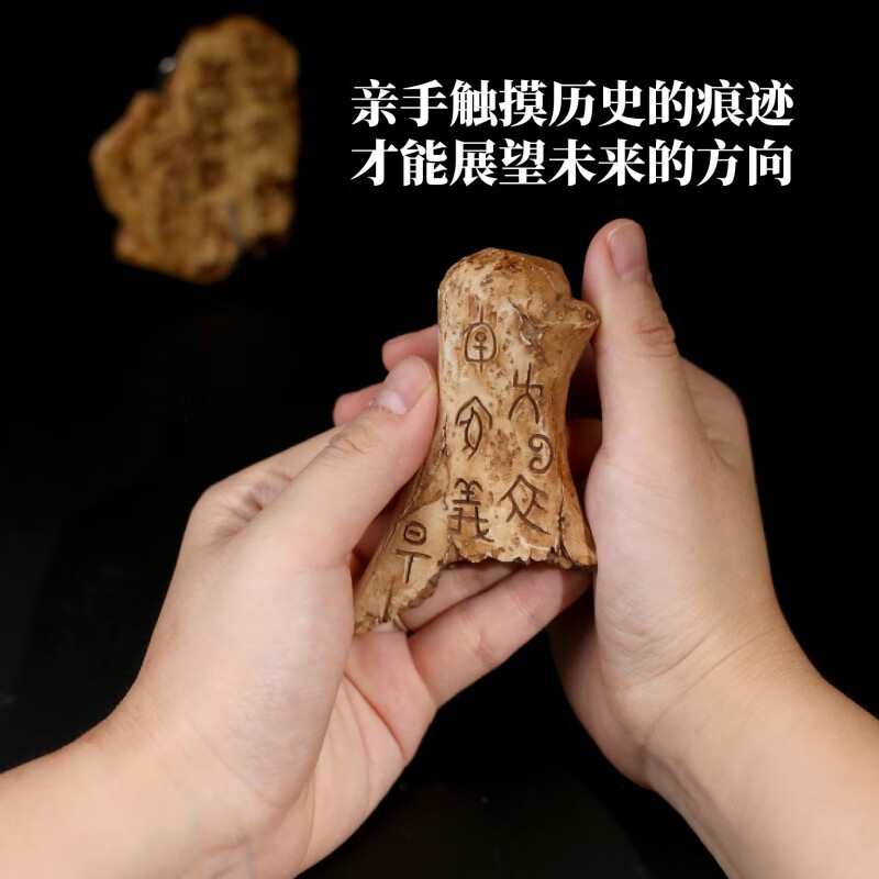 考古玩具挖掘盲盒甲骨文考古挖掘古钱币盲盒国潮宝藏龟甲手工玩具 【礼盒版】甲骨文之古钱币随机1