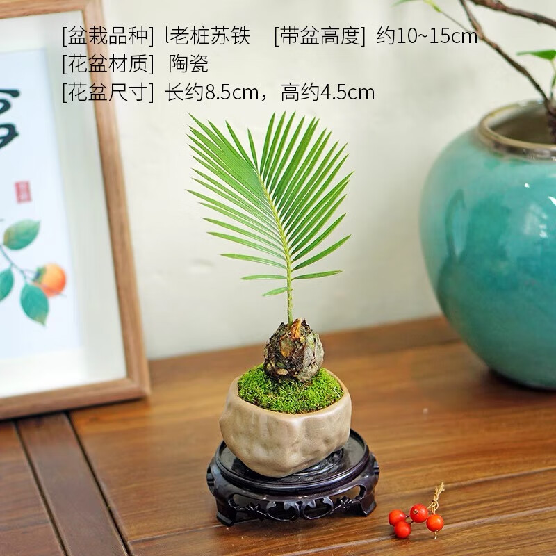 �ۻ�������ʽ����С���Ժ����ͻ��ļ�����칫���������澫��С�辰 ����Բ���С���������+�մɽ�ʯ��+̦޺���� ����߶�11-20cm