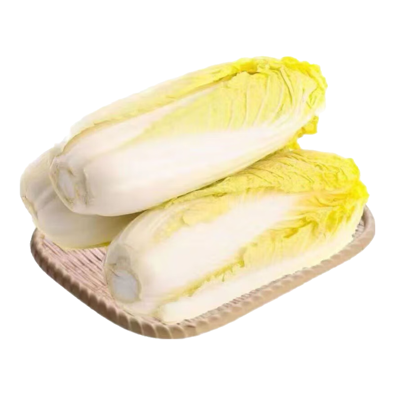 【超市品质】新鲜精品娃娃菜现砍现发小包装新鲜蔬菜生鲜产地直发 新鲜娃娃菜1*(3棵)*1包