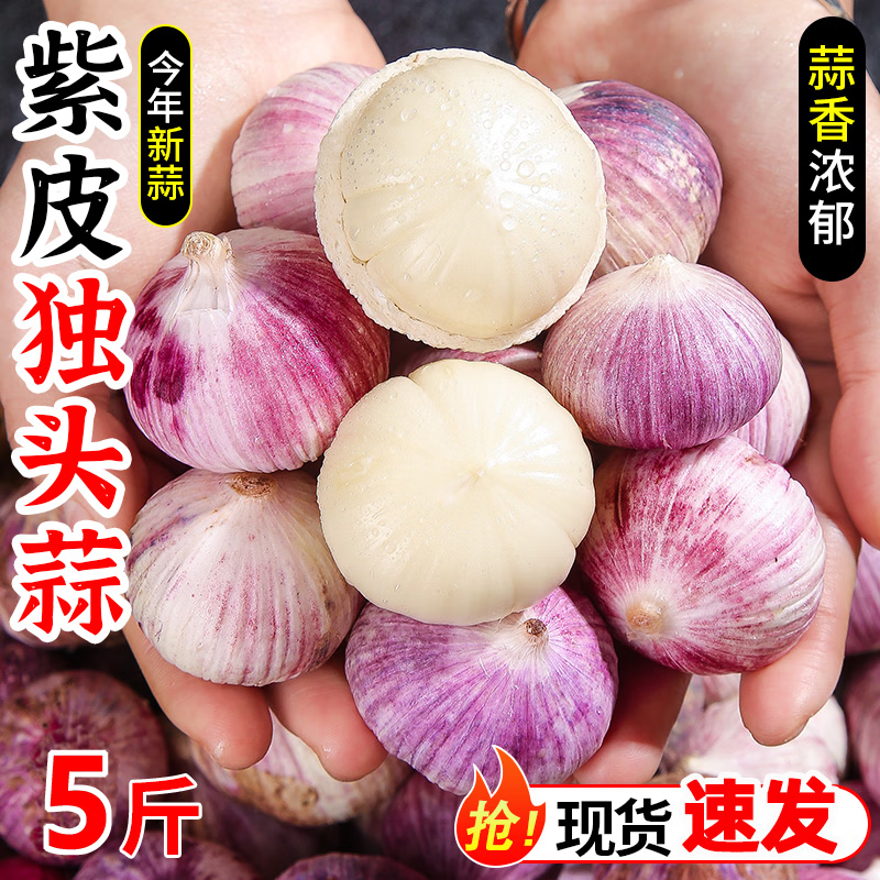 金百粟 云南紫皮独头蒜2026新蒜现挖湿蒜大蒜红皮新鲜独蒜蔬菜辛辣味浓 净重4.5斤【实惠囤货】 大果3.0-3.5cm[80%人选择]