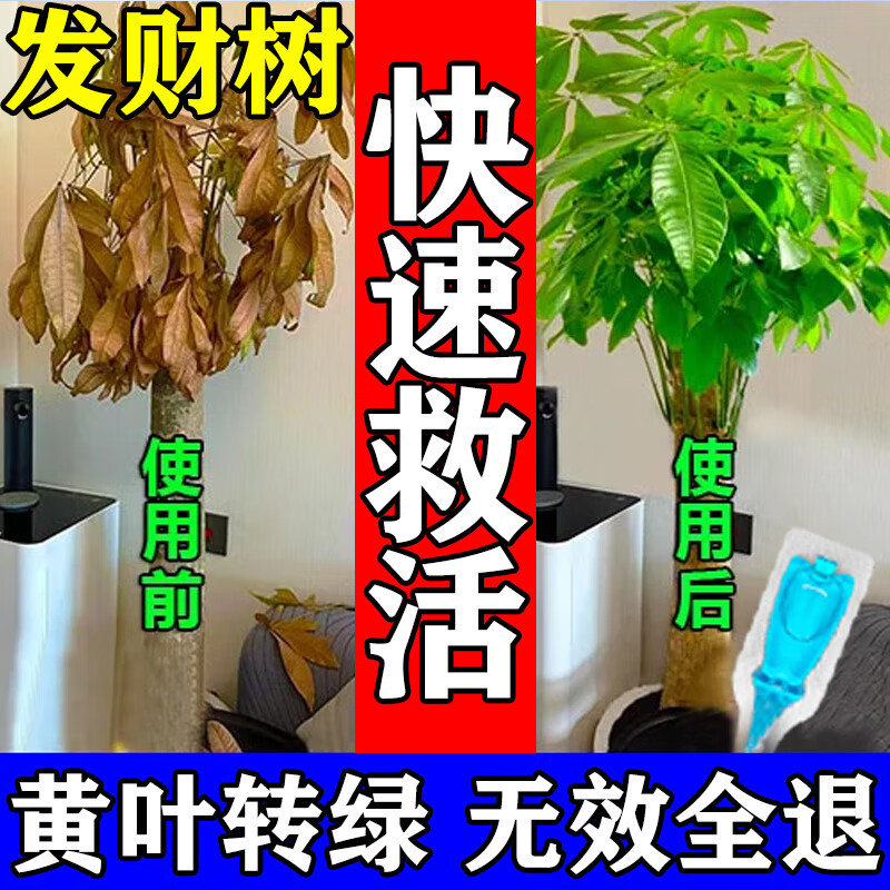 艾尚棵發(fā)財樹專用植物再生劑營養(yǎng)液植物盆栽家庭園藝通用肥快速生根發(fā)芽 1盒裝【6支】復(fù)活植物生根發(fā)芽