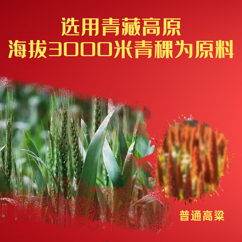 互助青稞酒 七彩互助升级 清香型白酒52度500ml 青海特产 酒厂 新品 52度 500mL 6瓶 【整箱装】