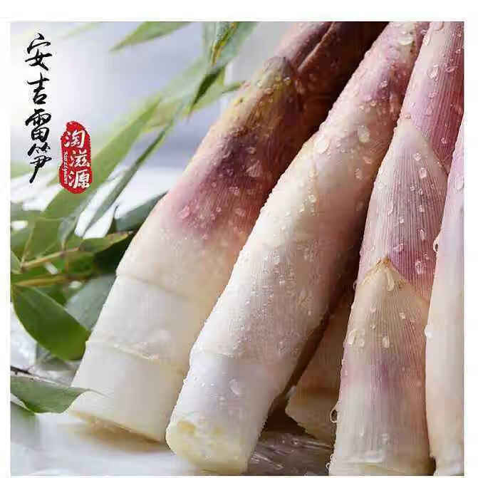 【顺丰冷链】浙江发货新鲜笋竹笋现挖雷竹笋春笋去老根正宗油焖笋 5斤精品矮胖雷竹笋