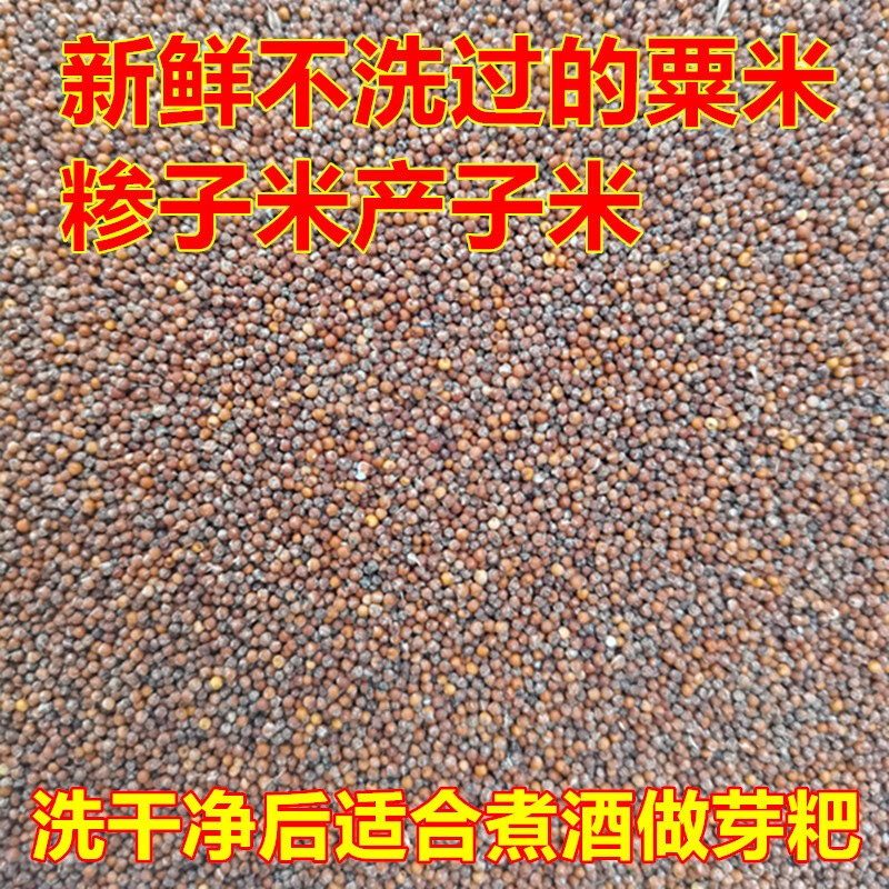 农家糁子鸭爪粟米龙爪谷子米铲子米产子鸡爪稷鸡爪米糝子鸭脚粟米 5斤
