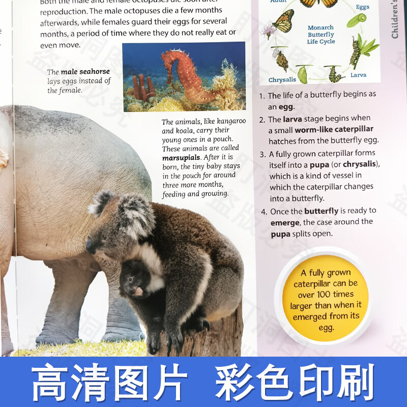【可点读进口原版正品】儿童百科全书科普绘本 100事实系列套装 英文原版 儿童经典科普 4-10岁百科全书
