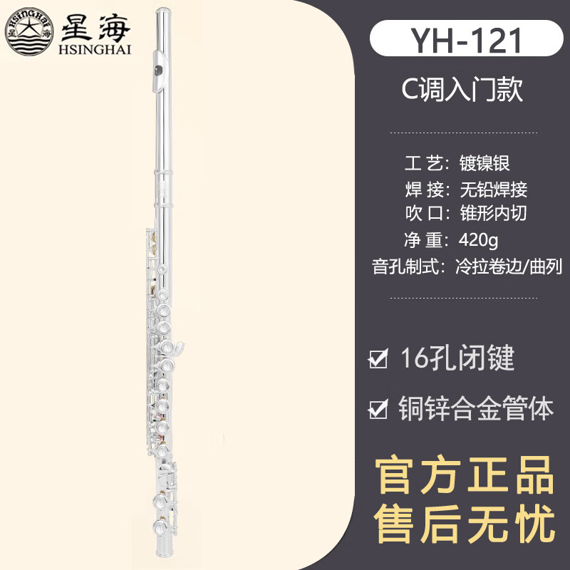 天鹅（SWAN）长笛乐器C调16键闭孔曲列E键初学者入门笛子院校考级演奏 入门款-YH-121