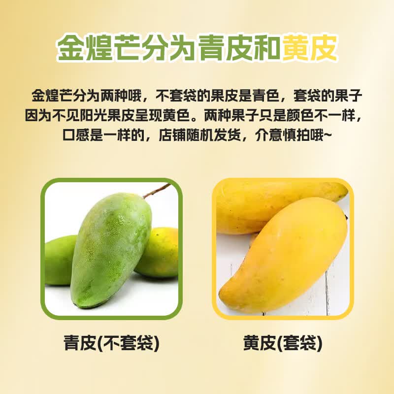 金煌芒细节图