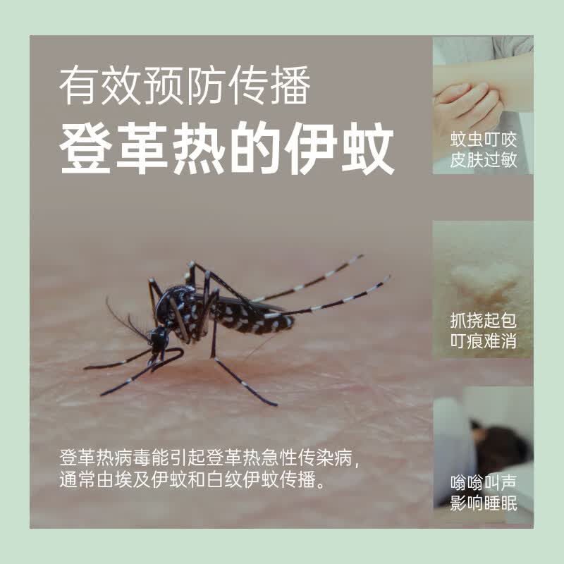榄菊蚊香加大盘40单圈艾草清香型户外家用防蚊长效驱蚊盘香黑蚊香 艾草清香*80圈【赠接灰盘*1】