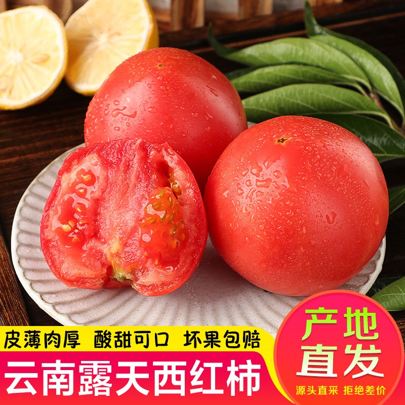 冒喜优农云南露天沙瓤西红柿普罗旺斯生吃新鲜蕃茄 精选大果5斤