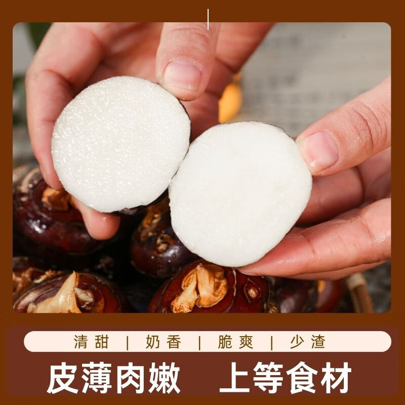 广西桂林荔浦马蹄荸荠地梨脆甜现挖产地直发当季新鲜水果煲汤蔬菜 优质大果 净重5斤(100-115个)