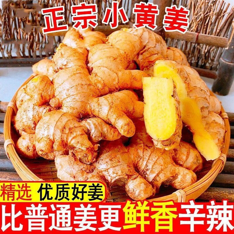 优嘉生云南小黄姜新鲜现挖老姜嫩姜新姜生姜应季蔬菜新鲜直发 小黄姜带箱9斤 京东折扣/优惠券