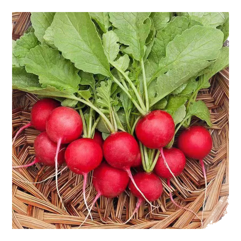 ���ļ�����ܲ����������ܲ���ȫ��̨�ļ������߲����� ��ӣ���ܲ�����1��Լ300��