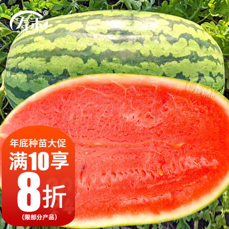寿禾金城五号西瓜种子特大适合南北方硒砂瓜种 寿禾金城5号西瓜种子