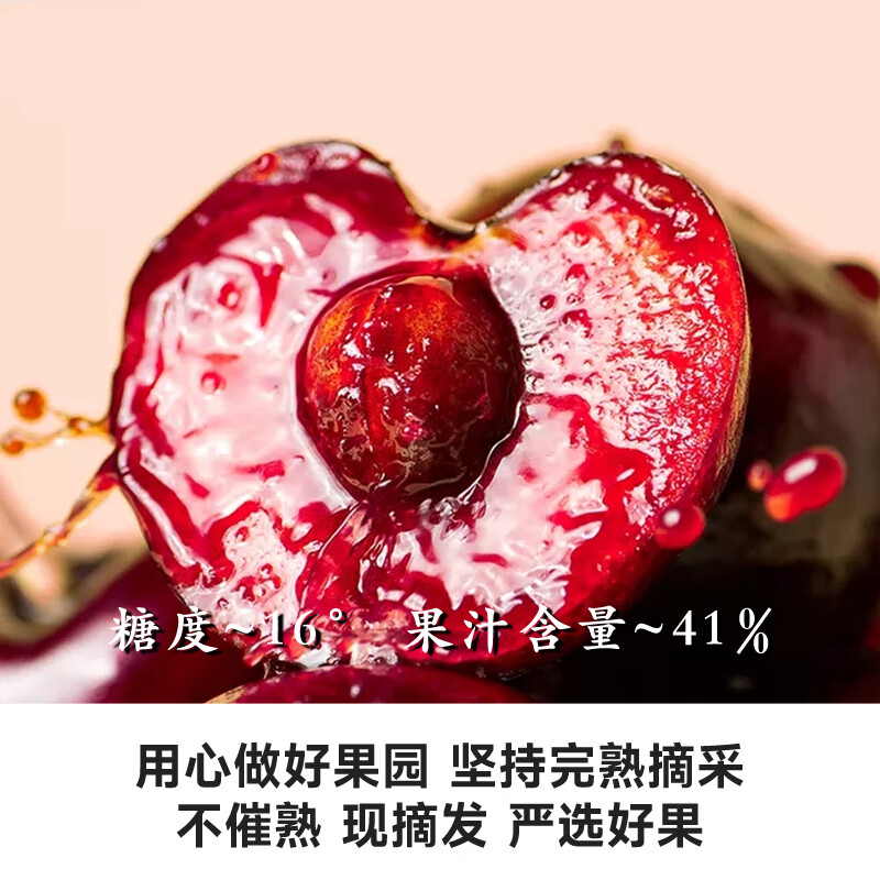 智利车厘子进口樱桃原箱高端水果礼盒 厘想橙功 年货春节团购送礼 5斤(净重) JJ级 原箱礼盒（毛重6斤） 五冠金钻 拒绝降级 足斤足两