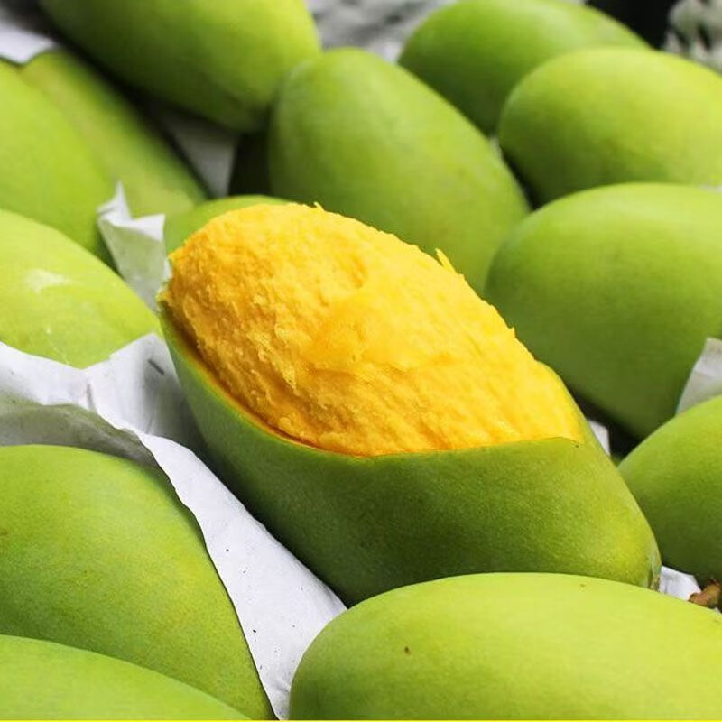 田园东方新鲜越南玉芒（放软食用酸甜口）青皮芒果单果（200-400g）带箱 5斤（净重4.5斤）