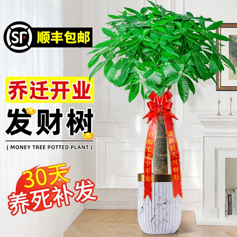 ڲſҵǨ߷ֲв칫شֲ 1.4-1.5m+߷˿152Ԫ