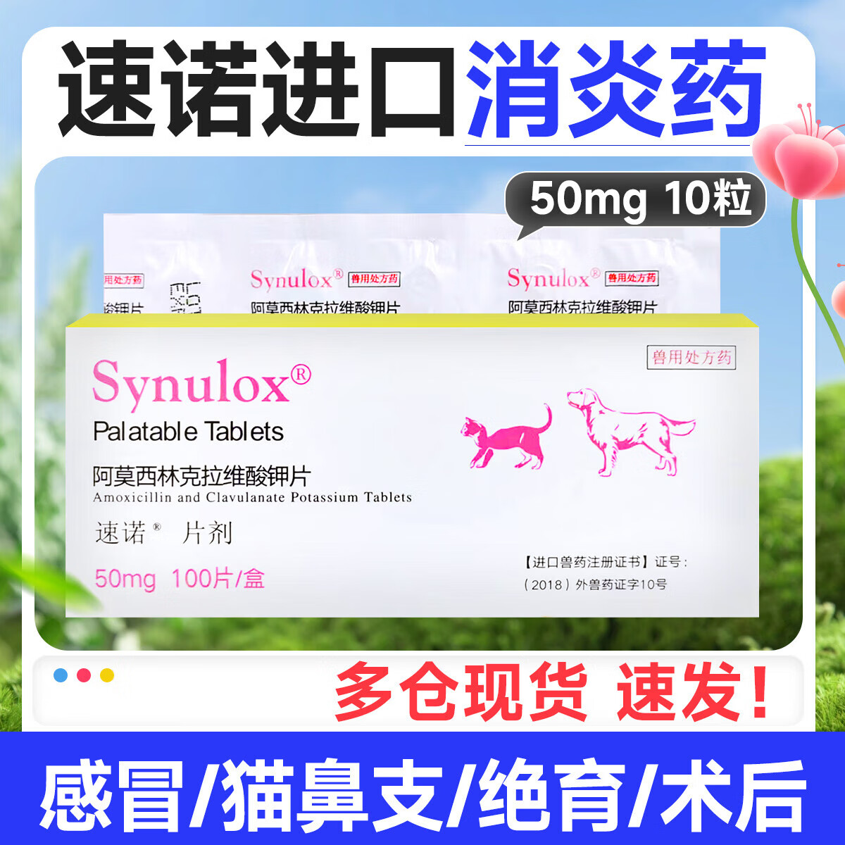 【现货速发】速诺美国硕腾进口猫咪狗狗宠物感冒打喷嚏皮肤感染阿莫西林克拉维酸钾 速诺50mg10颗拆售（发顺丰）