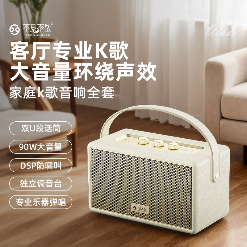 不见不散W200无线户外蓝牙音箱手提便携式广场舞立体环绕音响家用K歌麦克风一体机大音量客厅唱歌高音质 经典黑【双麦】