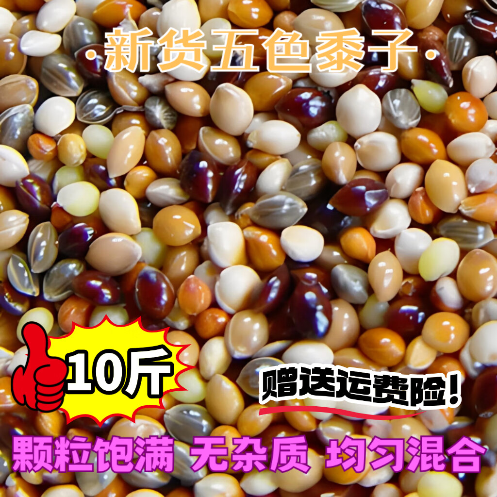 10斤五色黍子小米鸟粮文鸟鹦鹉饲料虎皮牡丹玄凤中小型鹦鹉鸟粮食 10