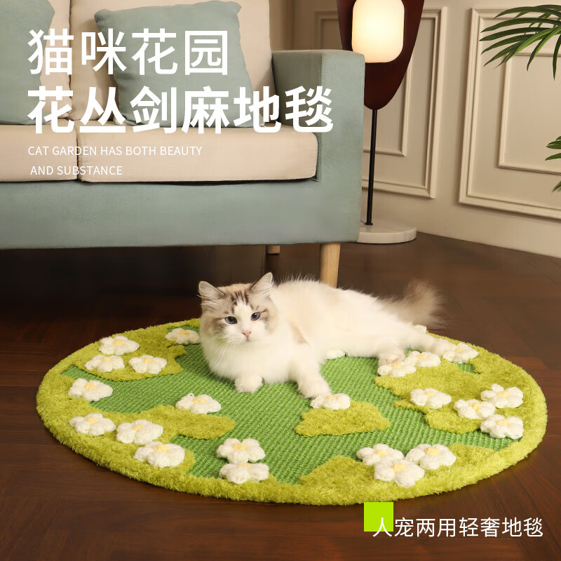 ���ɶ�èץ�彣����ĥ����м��̺�ѷ�èץ��ɳ������èצ��