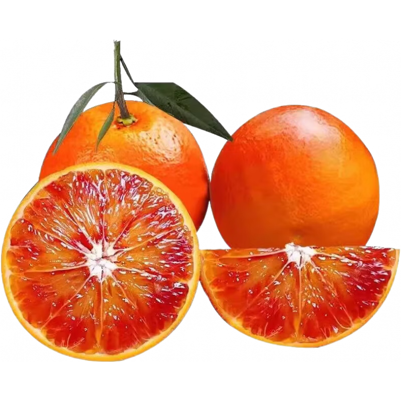 ���ڲ������������Ĵ�����Ѫ�ȡ������ժ�����޿ƹ���������õ�����ˮ��������� ������5-4.5��ح����65mm+�� �����Ĳ�����ժ��