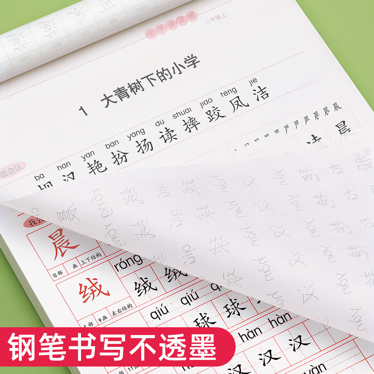 金枝叶三年级字帖上下册临摹练字帖小学生专用同步练字本语文人教版硬笔书法儿童楷书练习 三年级上册（共46页）