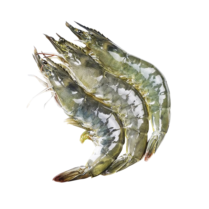 ���ڲ��������μ��ൺ��Ϻ��Ϻ3�� 30-45ֻ��Ϻ��ΧϺ�ζ���Ϻ��Ϻ��ΧϺ 99.89Ԫ