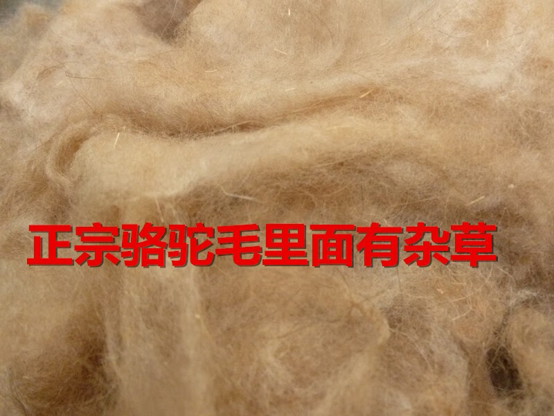 正宗青藏特產(chǎn)純駱駝毛絨被子駱駝毛被芯駝絨被胎網(wǎng)套墊被褥3456斤 100純駱毛3斤 本色 200cmx230cm