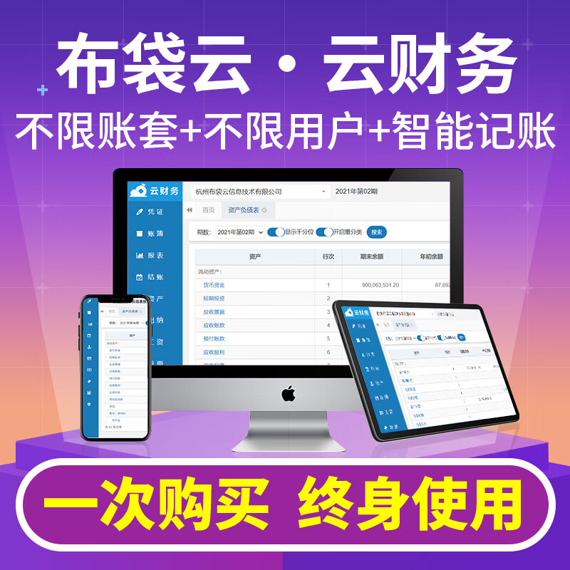 布袋云智能财务软件会计做账出纳记账代代理账财税管理系统网络网页永久终身版 单用户/不限账套/网页版