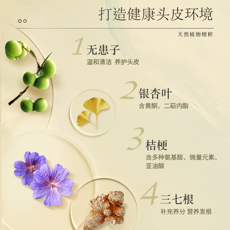 养元青去屑洗发水柔顺去油止痒丝滑洗发露改善毛躁头皮护理洗发 【尝鲜装】去屑柔顺洗发水210ml