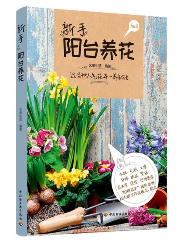 新手阳台养花