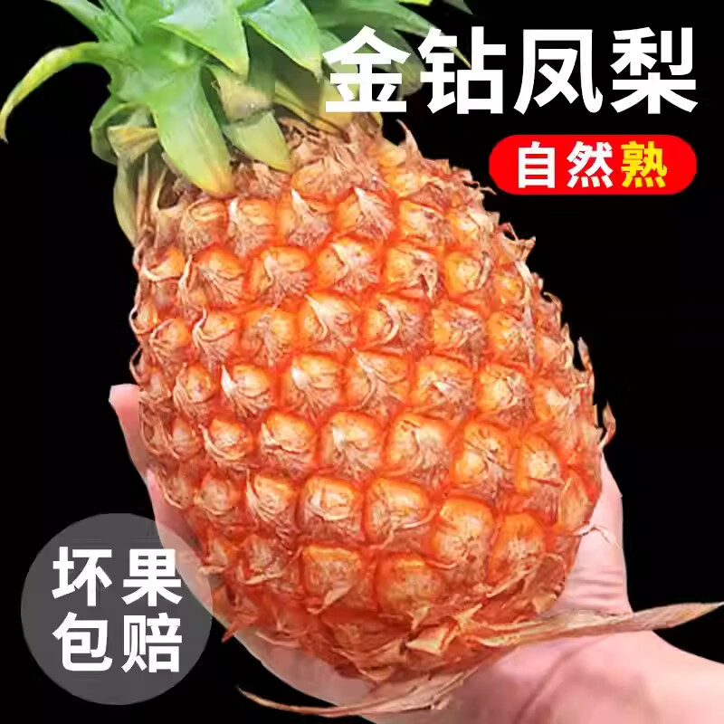 鲜友季海南金钻凤梨新鲜当季水果手撕菠萝 4.5-5斤(单果1.3-1.8斤)